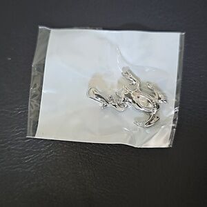 Silver Frog Charm